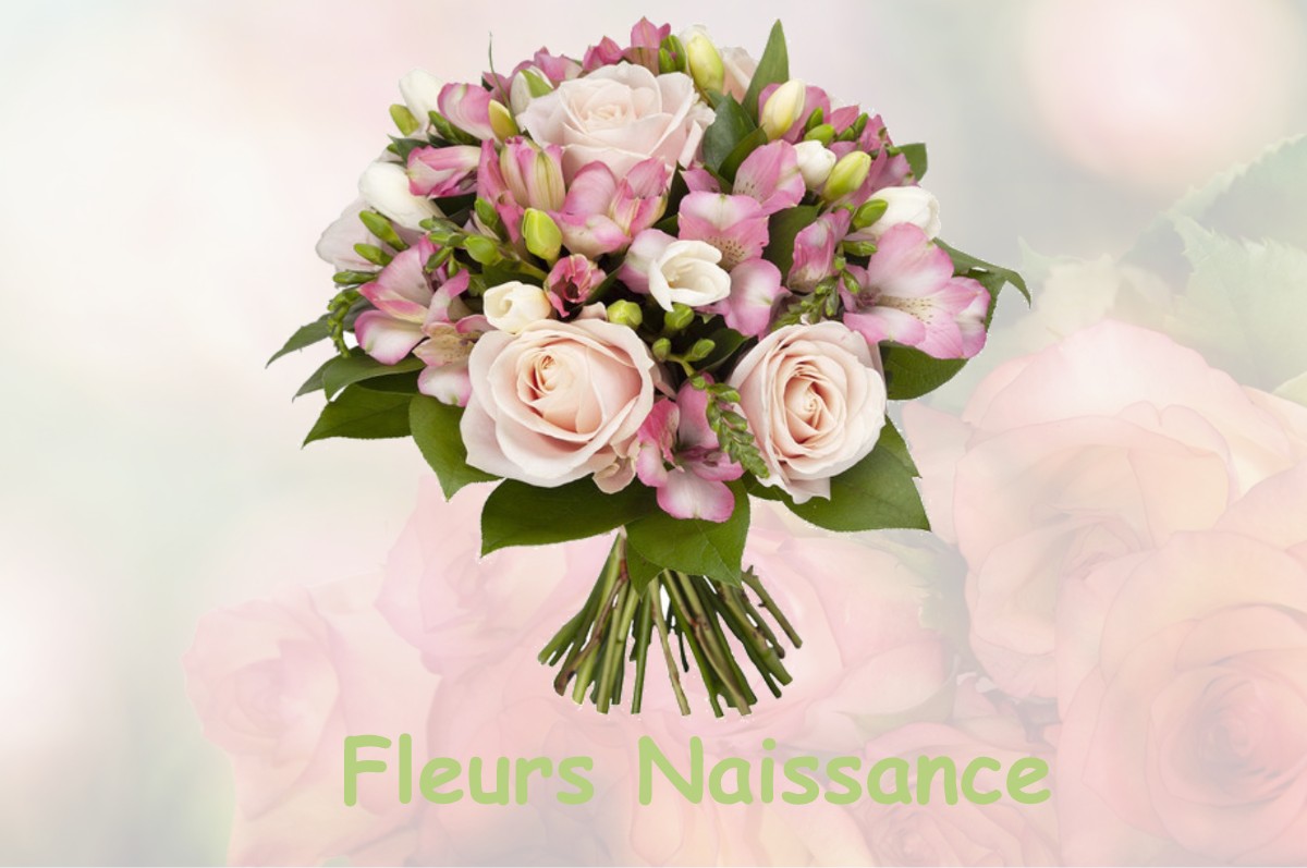 fleurs naissance FEROLLES