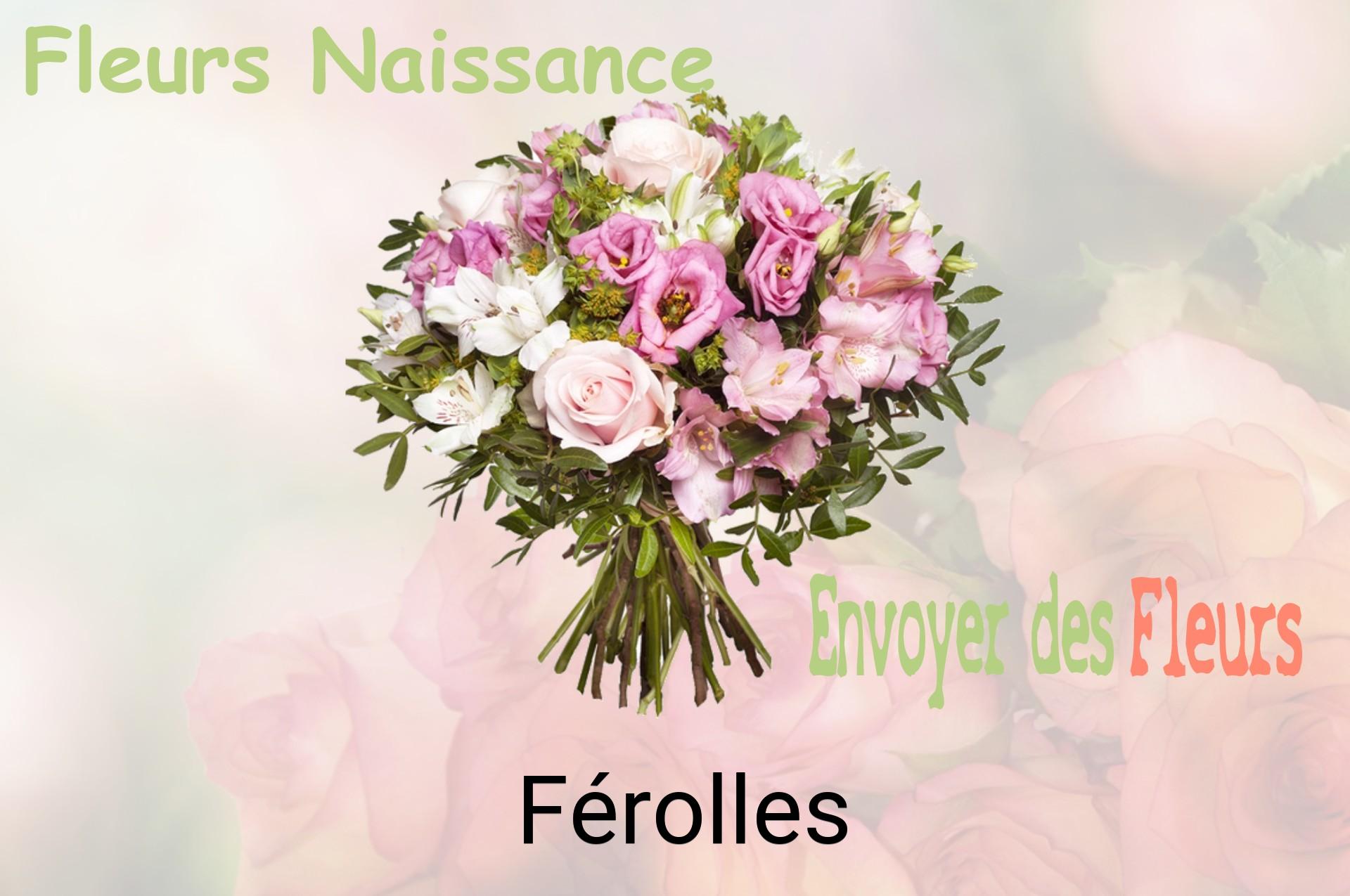 Bouquet de fleurs de naissance livré à Férolles