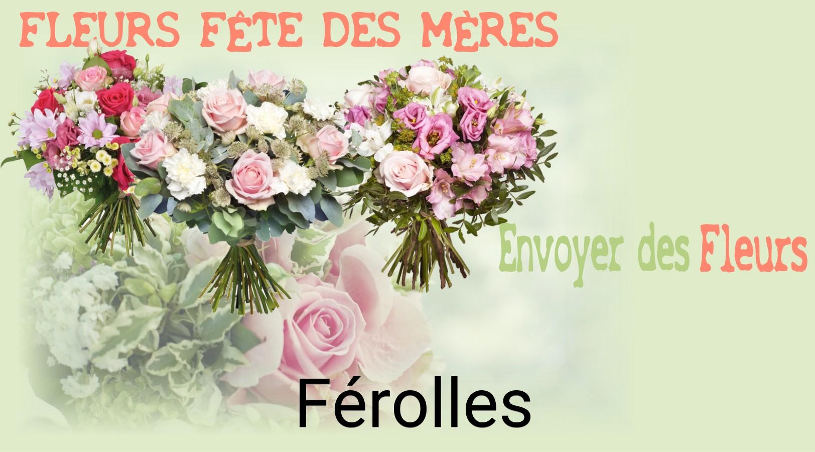 Bouquet de Fête des Mères livré à Férolles