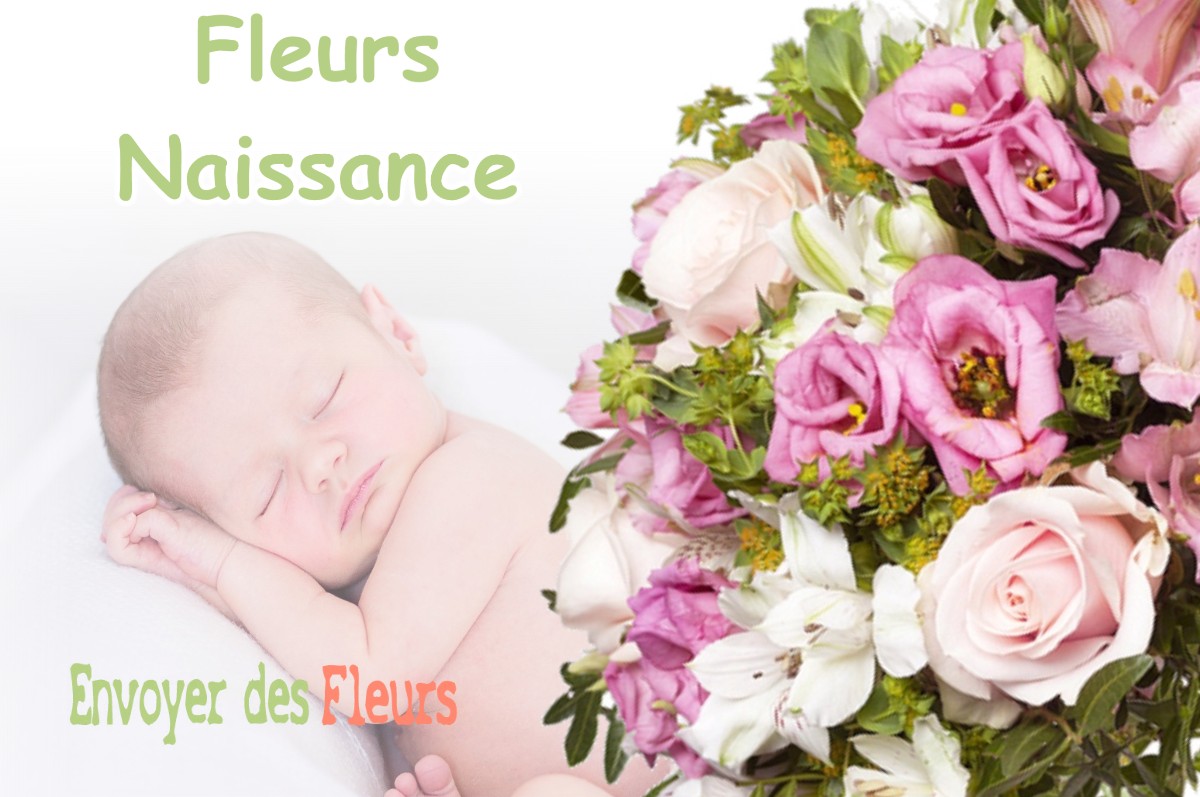 lIVRAISON FLEURS NAISSANCE à FEROLLES